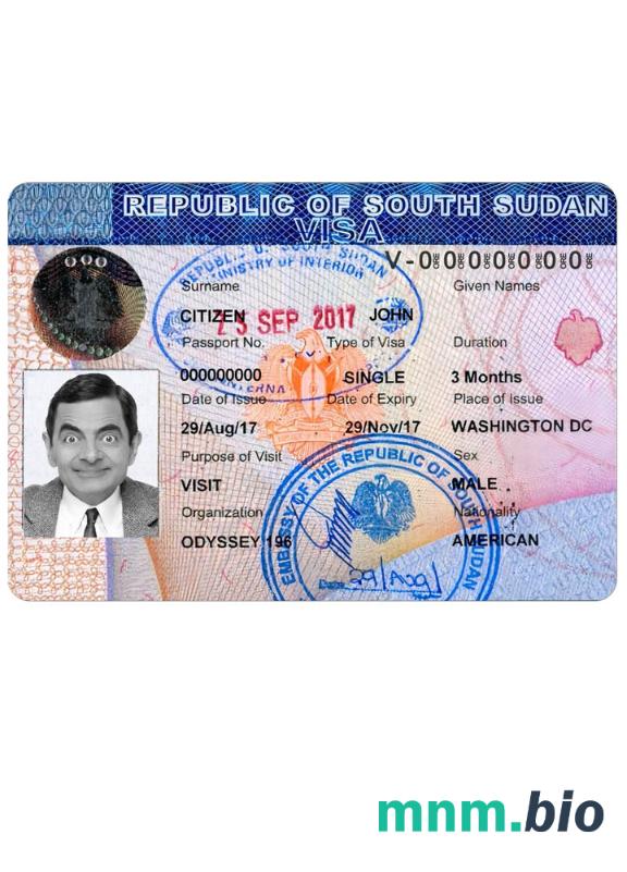 Przykład wizy podróżnej do Sudanu Południowego w PSD